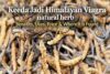 Keeda Jadi – Himalayan Viagra