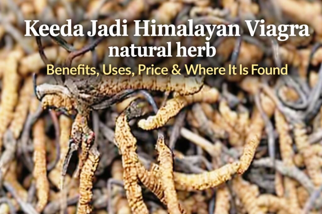 Keeda Jadi – Himalayan Viagra