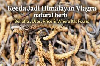 Keeda Jadi – Himalayan Viagra