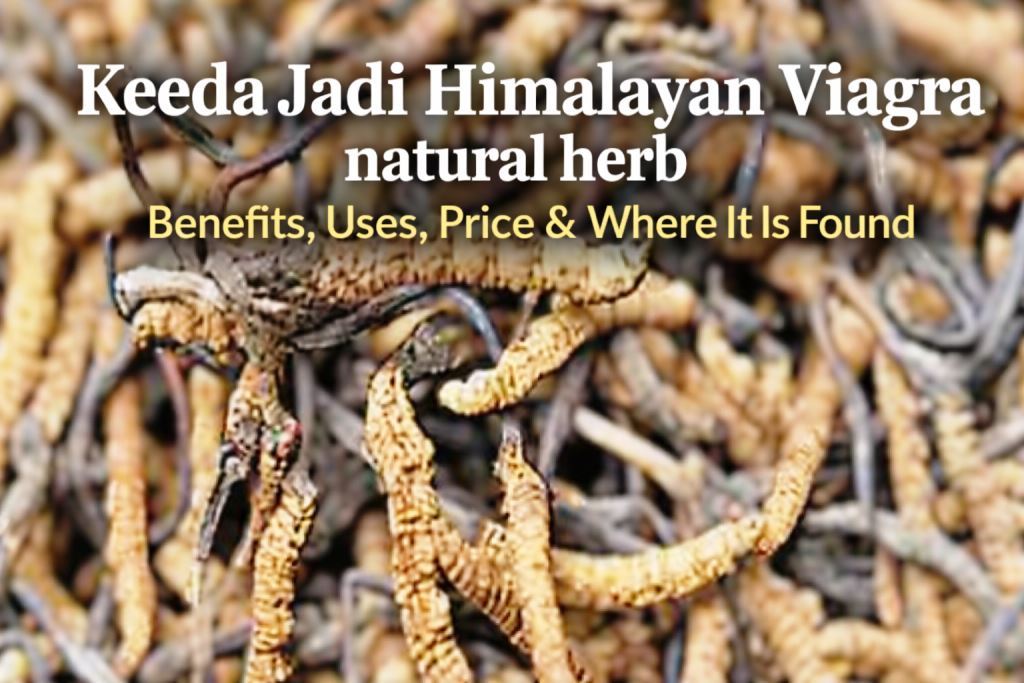 Keeda Jadi – Himalayan Viagra