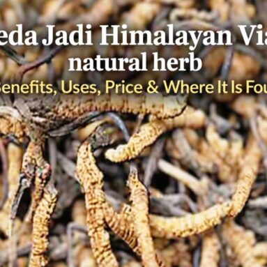 Keeda Jadi (Himalayan Viagra): Benefits, Uses, Price & Where It Is Found